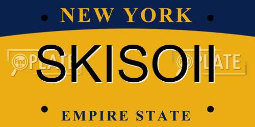 SKISOII New York License Plate