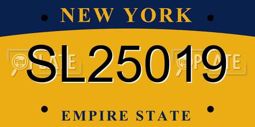 SL25019 New York License Plate