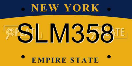 SLM358 New York License Plate