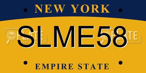 SLME58 New York License Plate