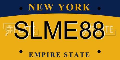 SLME88 New York License Plate