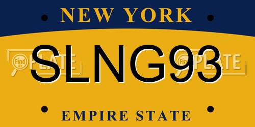 SLNG93 New York License Plate