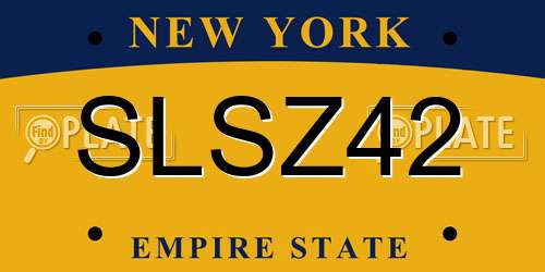 SLSZ42 New York License Plate