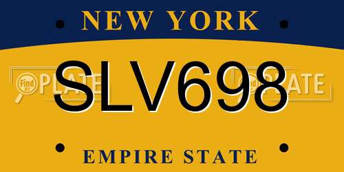 SLV698 New York License Plate