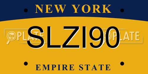 SLZI90 New York License Plate