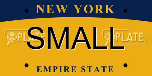 SMALL New York License Plate