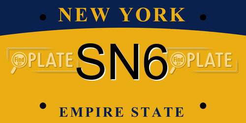 SN6 New York License Plate
