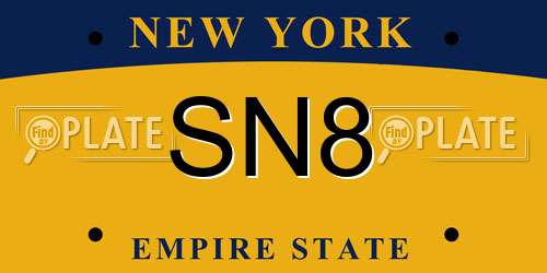 SN8 New York License Plate