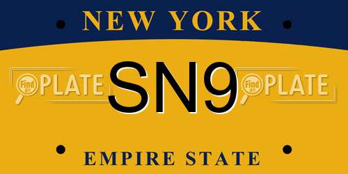 SN9 New York License Plate