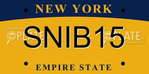 SNIB15 New York License Plate