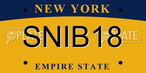 SNIB18 New York License Plate