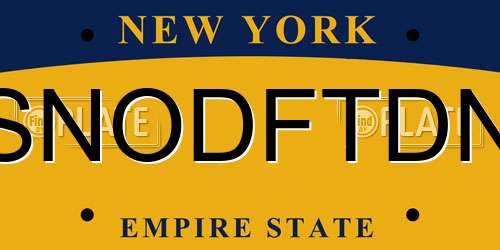 SNODFTDN New York License Plate