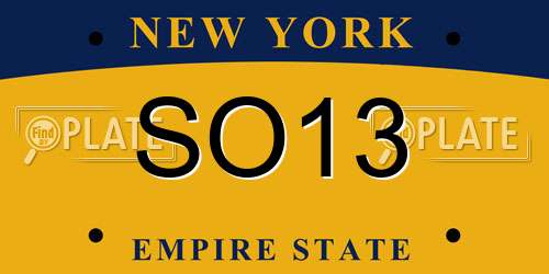 SO13 New York License Plate