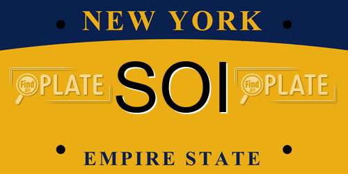 SOI New York License Plate