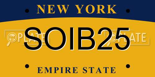 SOIB25 New York License Plate