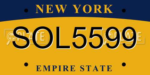 SOL5599 New York License Plate