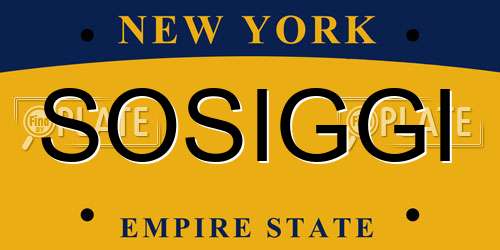 SOSIGGI New York License Plate