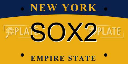 SOX2 New York License Plate