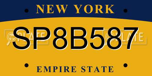 SP8B587 New York License Plate