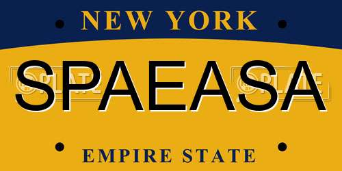 SPAEASA New York License Plate