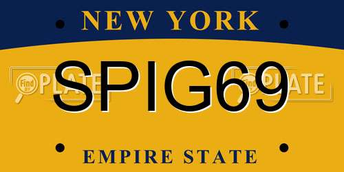 SPIG69 New York License Plate