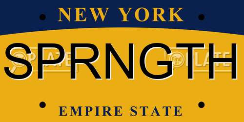 SPRNGTH New York License Plate