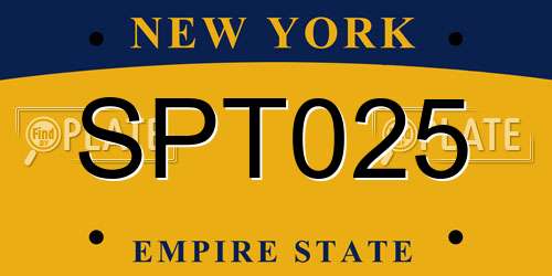 SPT025 New York License Plate
