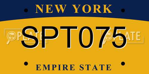 SPT075 New York License Plate