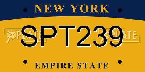 SPT239 New York License Plate