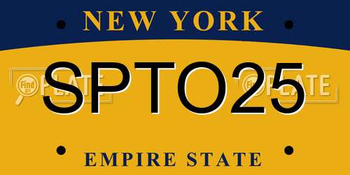 SPTO25 New York License Plate