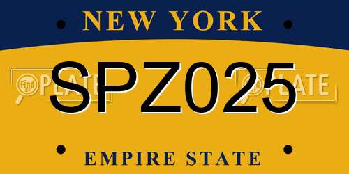 SPZ025 New York License Plate
