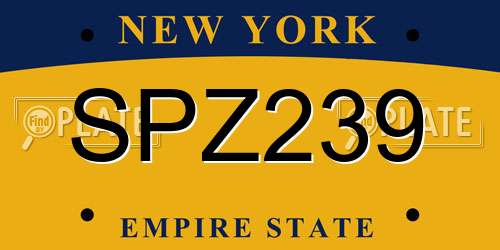 SPZ239 New York License Plate