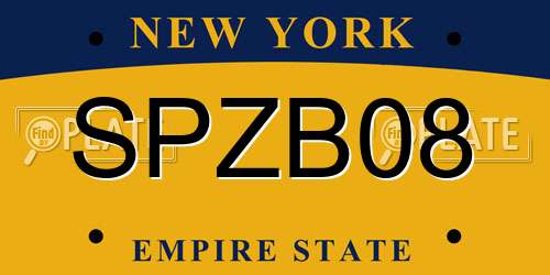 SPZB08 New York License Plate