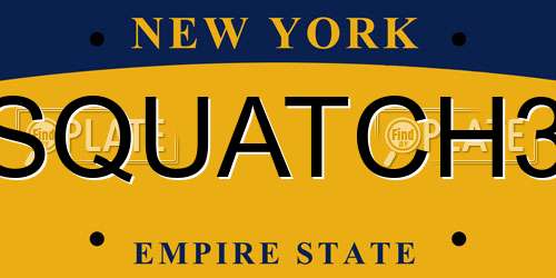 SQUATCH3 New York License Plate