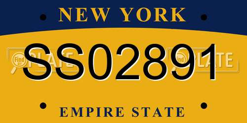 SS02891 New York License Plate