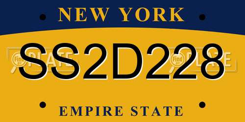 SS2D228 New York License Plate