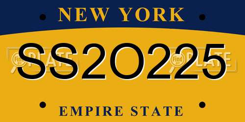SS2O225 New York License Plate