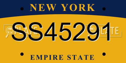 SS45291 New York License Plate