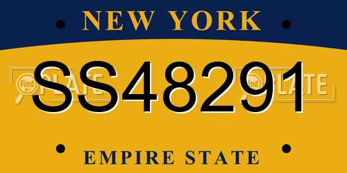 SS48291 New York License Plate