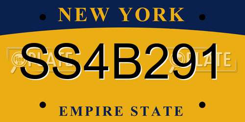 SS4B291 New York License Plate