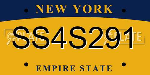 SS4S291 New York License Plate