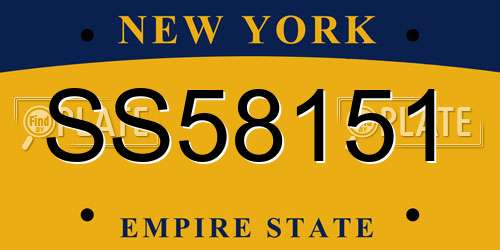 SS58151 New York License Plate