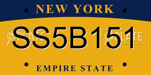 SS5B151 New York License Plate