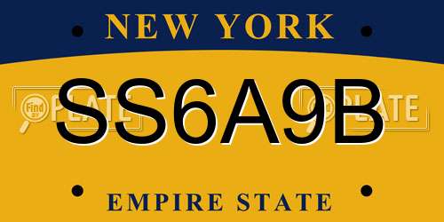 SS6A9B New York License Plate