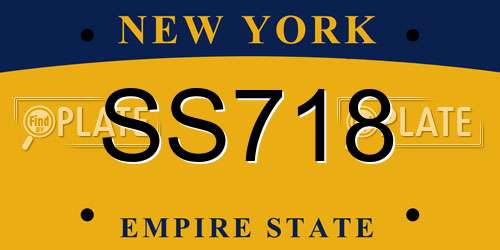 SS718 New York License Plate