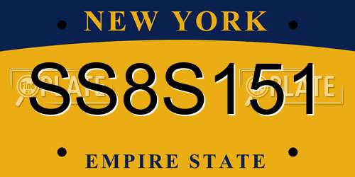 SS8S151 New York License Plate
