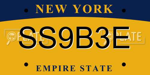 SS9B3E New York License Plate