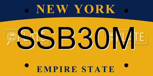 SSB30M New York License Plate