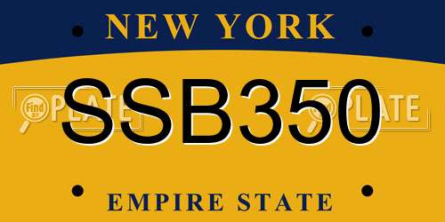 SSB350 New York License Plate