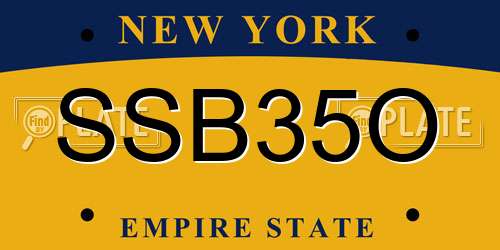 SSB35O New York License Plate